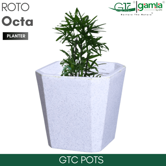 Octa Planter Roto Moulding Suitable for Home, Gardens, Hotels and Resorts - GTC POTS