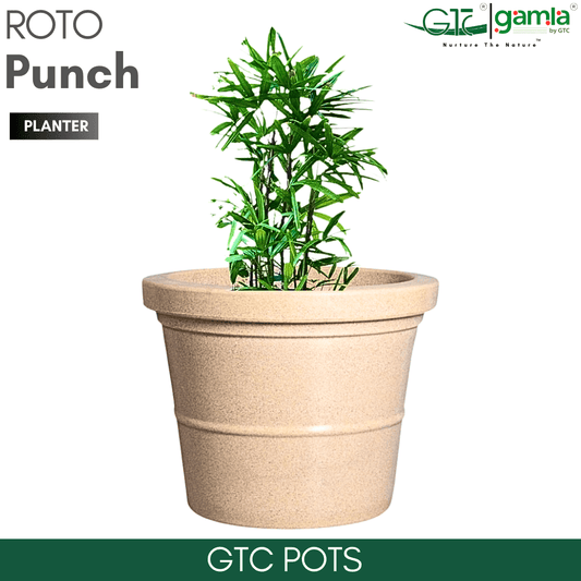 Punch Planter Roto Moulding Planter Suitable for Home, Gardens, Hotels and Resorts - GTC POTS