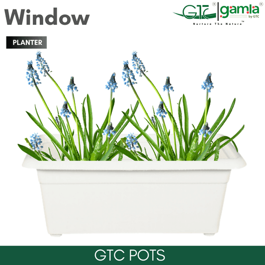 Window Planter Suitable for Home, Gardens, Hotels and Resorts - GTC POTS