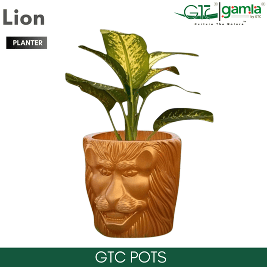 LION PLANTER - GTC POTS