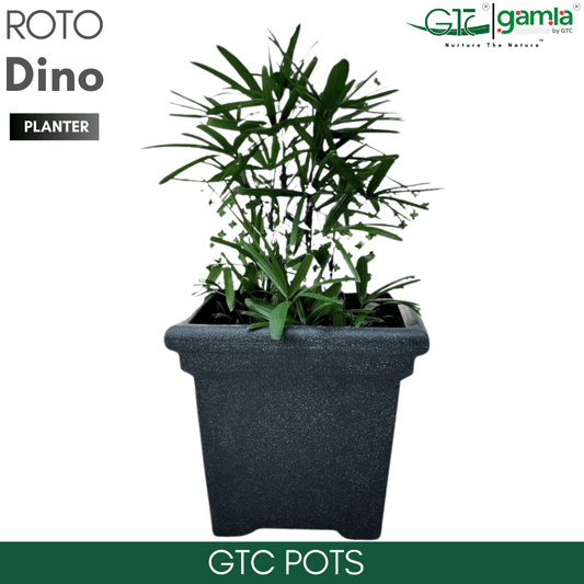 Dino Planter Roto Moulding Planter Suitable for Home, Gardens, Hotels and Resorts - GTC POTS