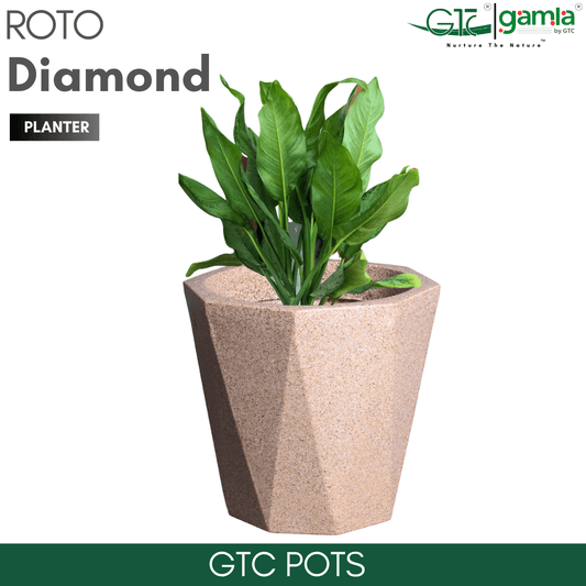 Diamond Planter Roto Moulding Suitable for Home, Gardens, Hotels and Resorts - GTC POTS