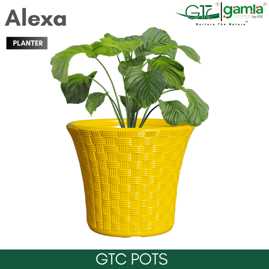 Alexa Planter Suitable for Home, Gardens, Hotels and Resorts - GTC POTS