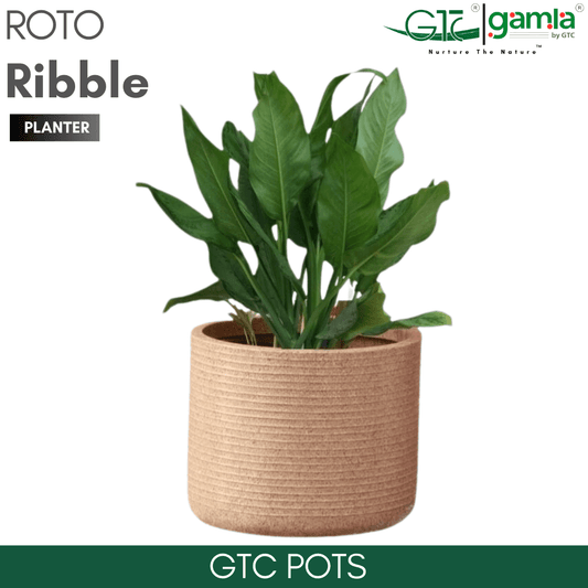 Ribble Wheel Planter Roto Moulding Planter Suitable for Home, Gardens, Hotels and Resorts - GTC POTS