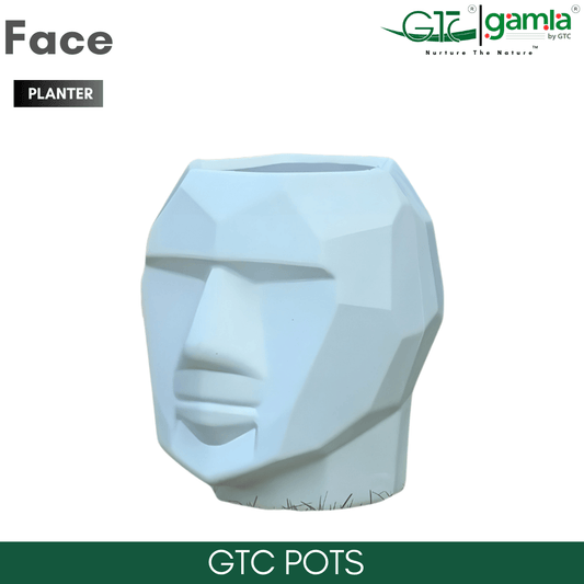 FACE PLANTER - GTC POTS