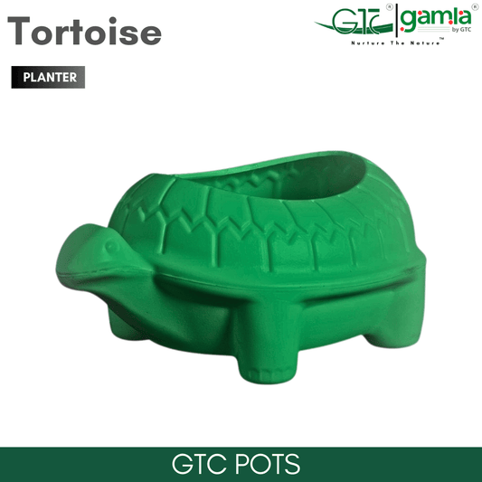TORTOISE PLANTER - GTC POTS