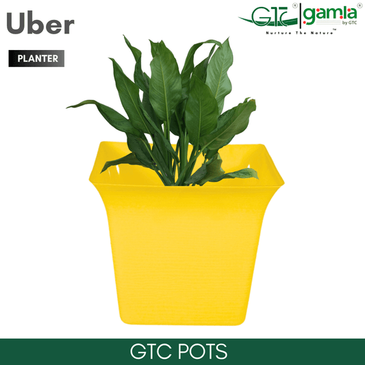 UBER PLANTER (SET OF 3) Suitable for Home, Gardens, Indoor, Outdoor - GTC POTS