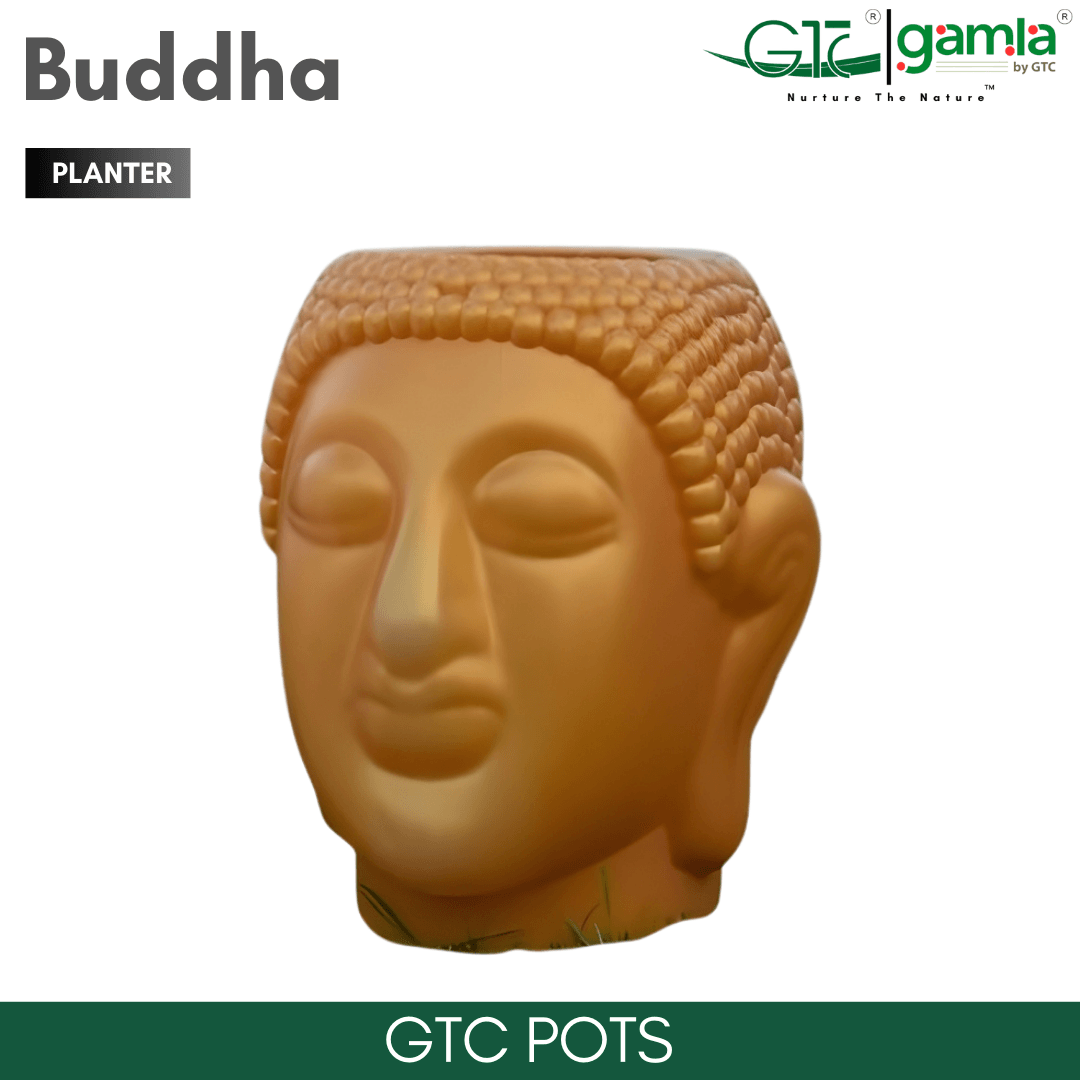 BUDDHA PLANTER - GTC POTS