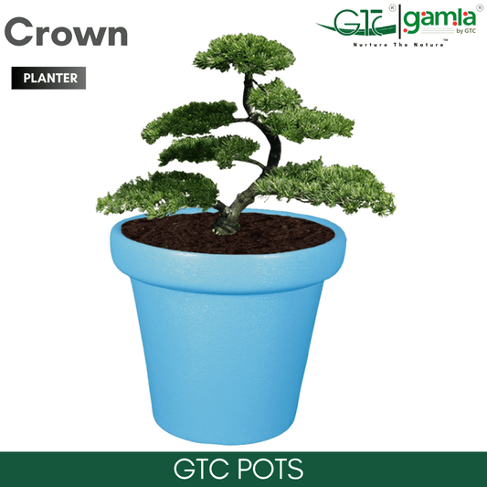 Crown Planter Suitable for Home, Gardens, Hotels and Resorts - GTC POTS