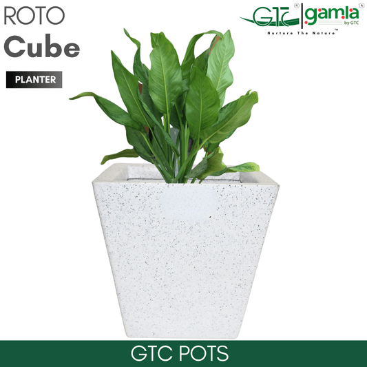 Cube Planter Roto Moulding Planter Suitable for Home, Gardens, Hotels and Resorts - GTC POTS