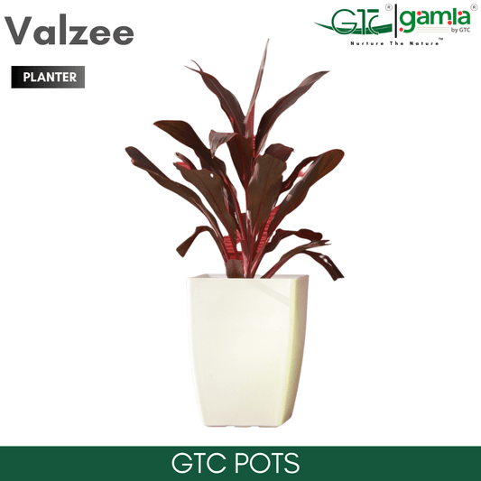Valzee Planter Suitable for Home, Gardens, Hotels and Resorts - GTC POTS