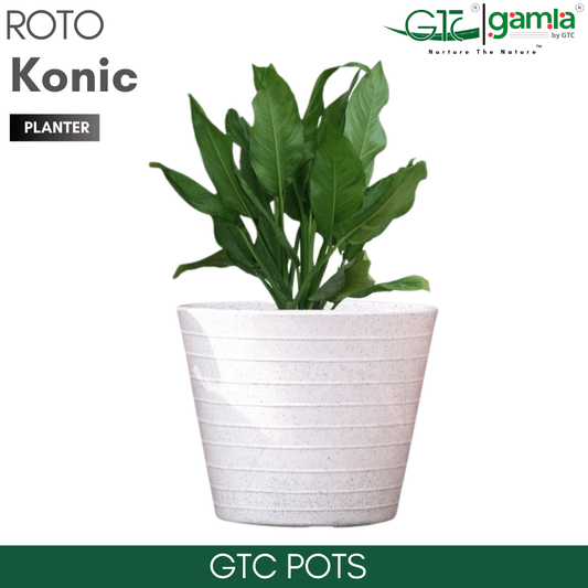 Konic Planter Roto Moulding Suitable for Home, Gardens, Hotels and Resorts - GTC POTS