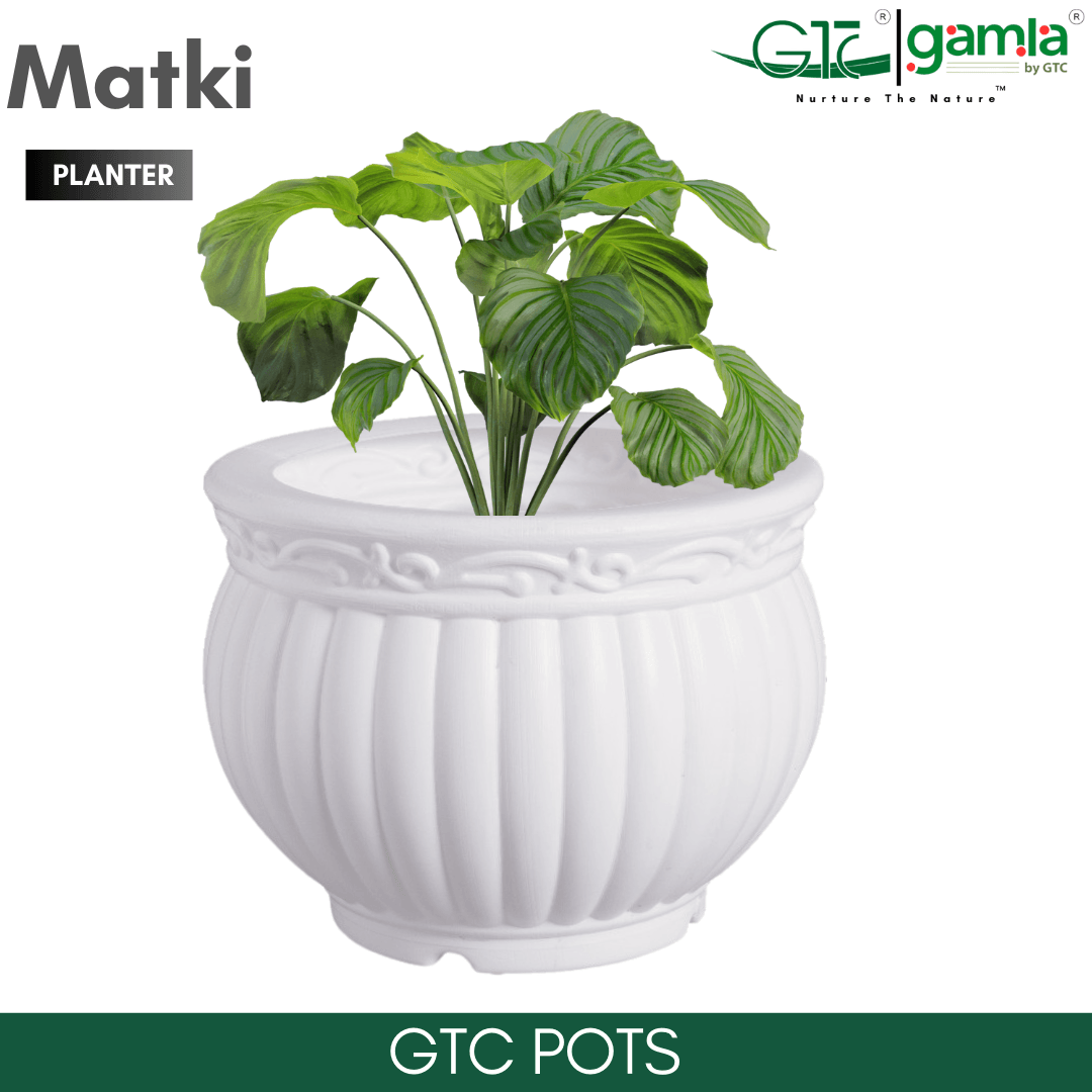 MATKI PLANTER - GTC POTS