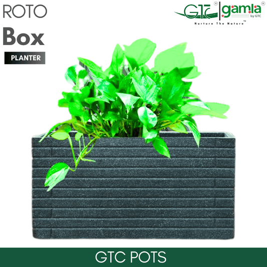 Box Wheel Planter Roto Moulding Planter Suitable for Home, Gardens, Hotels and Resorts - GTC POTS
