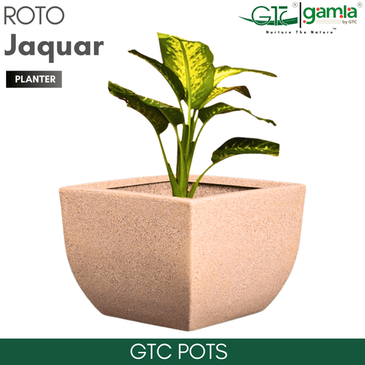 Jaguar Planter Roto Moulding Planter Suitable for Home, Gardens, Hotels and Resorts - GTC POTS