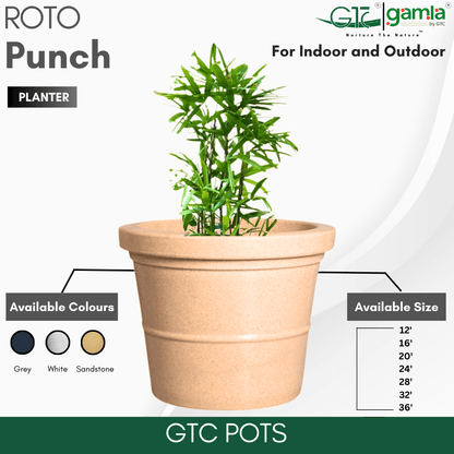 Punch Planter Roto Moulding Planter Suitable for Home, Gardens, Hotels and Resorts - GTC POTS