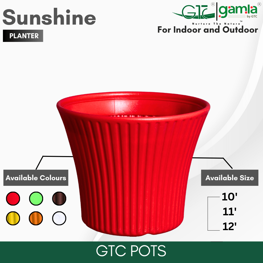 Sunshine Planter Suitable for Home, Gardens, Hotels and Resorts - GTC POTS