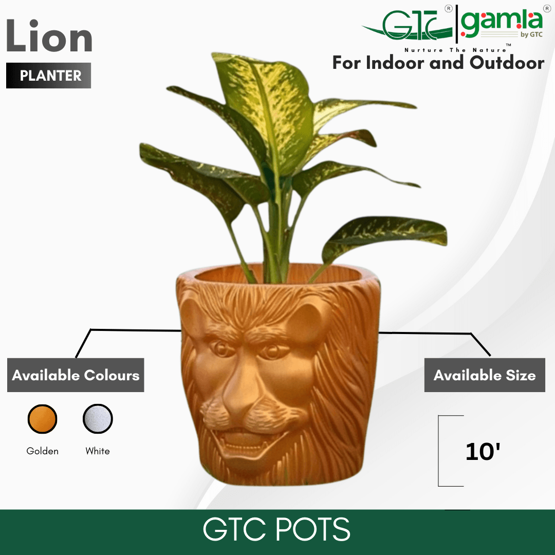 LION PLANTER - GTC POTS