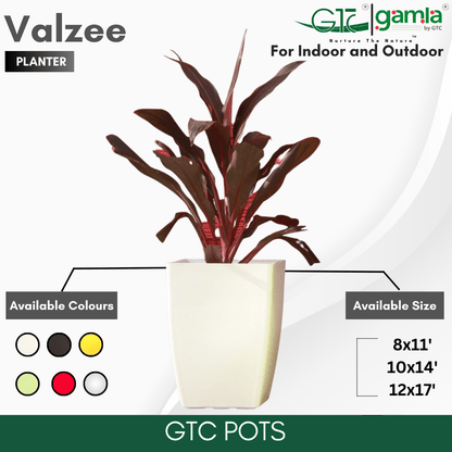 Valzee Planter Suitable for Home, Gardens, Hotels and Resorts - GTC POTS