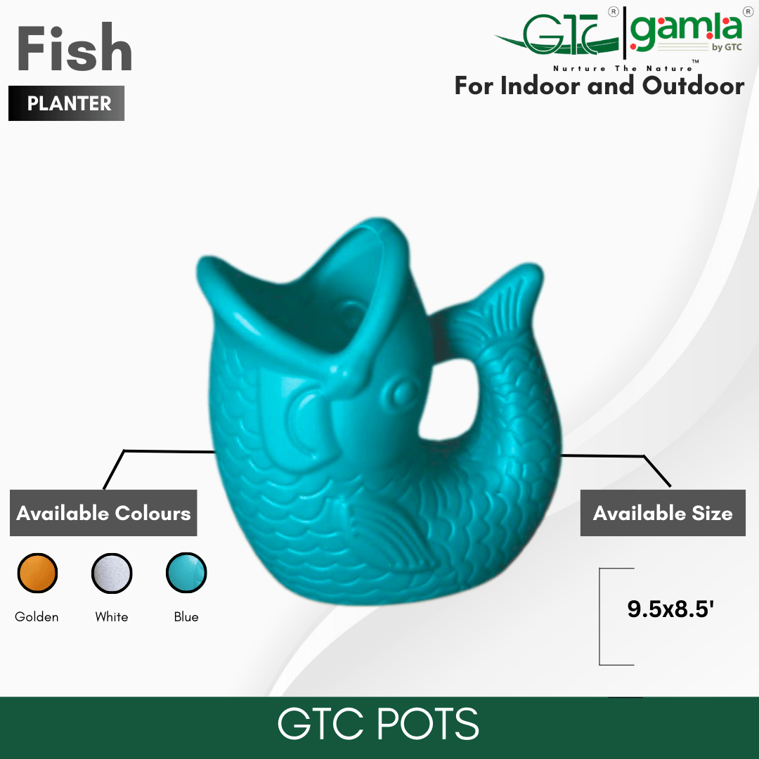 FISH PLANTER - GTC POTS