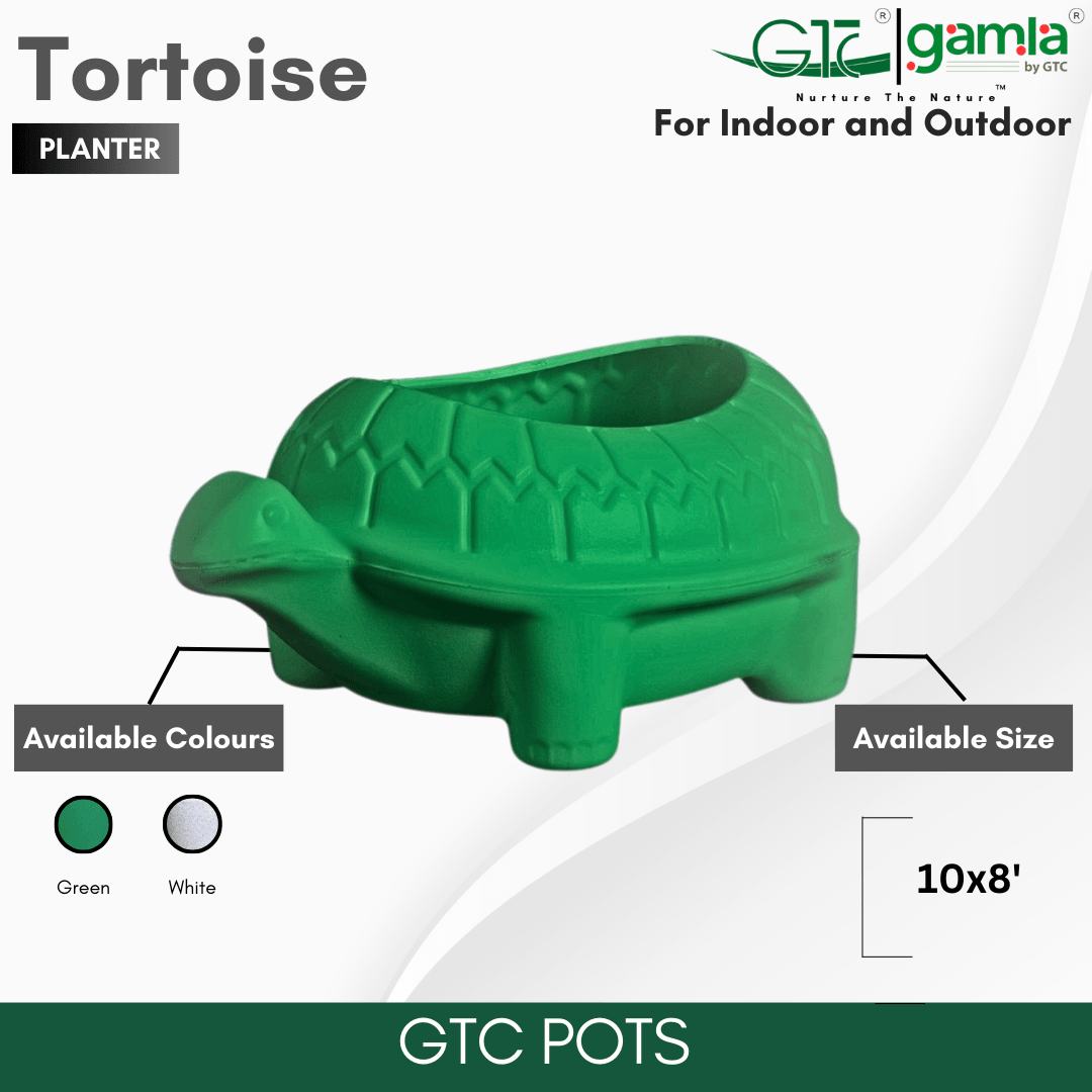 TORTOISE PLANTER - GTC POTS