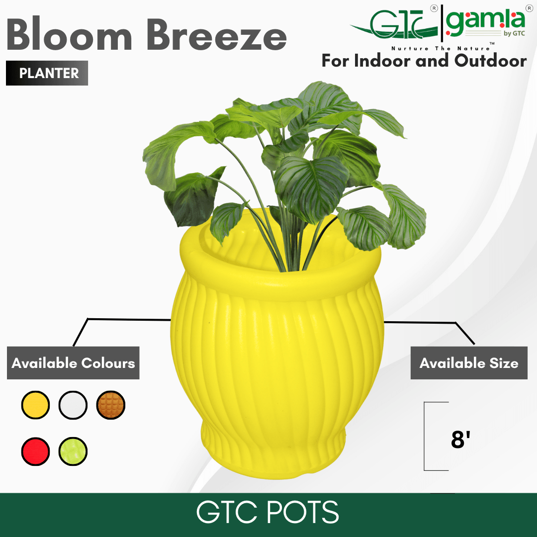 Bloom Breeze Planter Suitable for Home, Gardens, Hotels and Resorts - GTC POTS