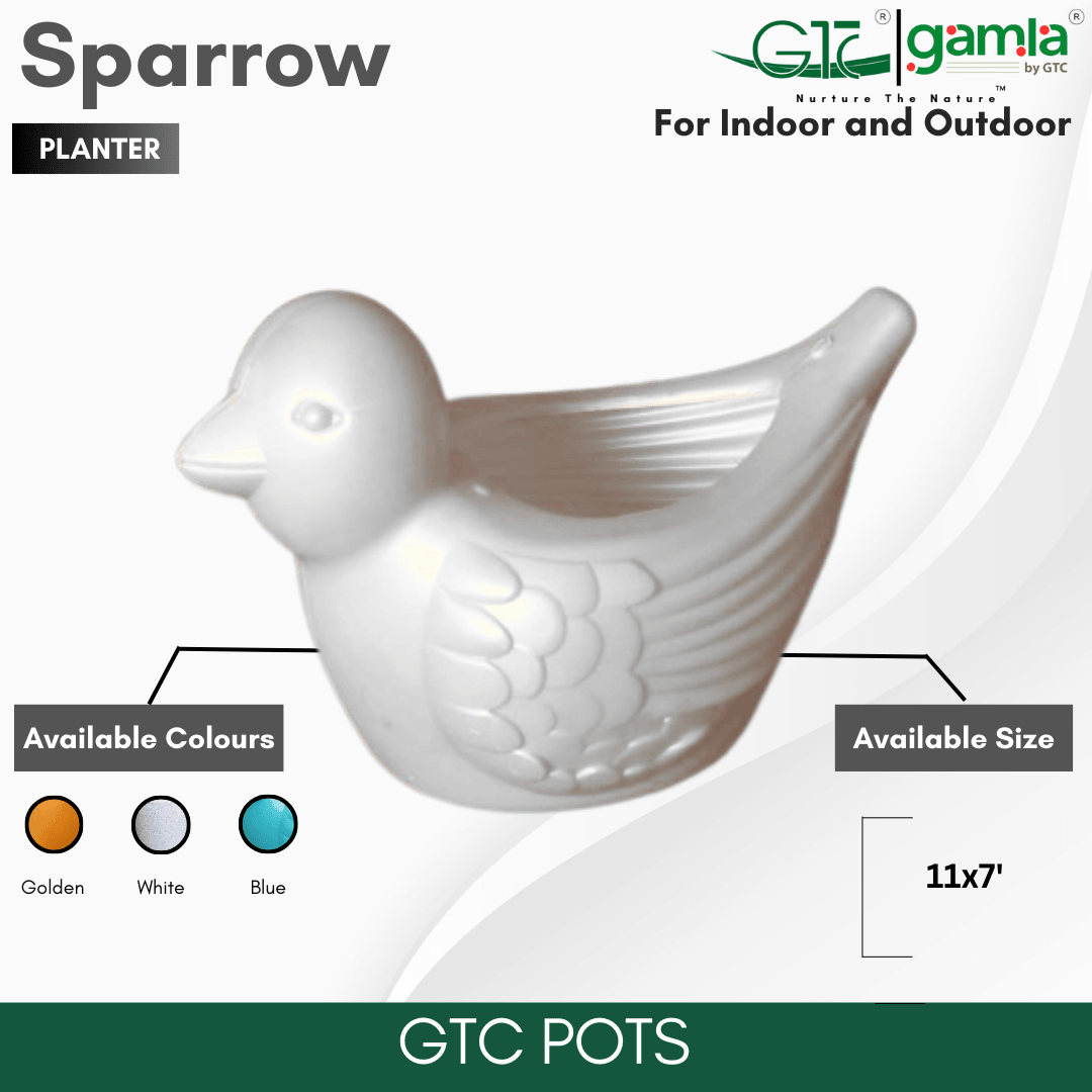 SPARROW PLANTER - GTC POTS