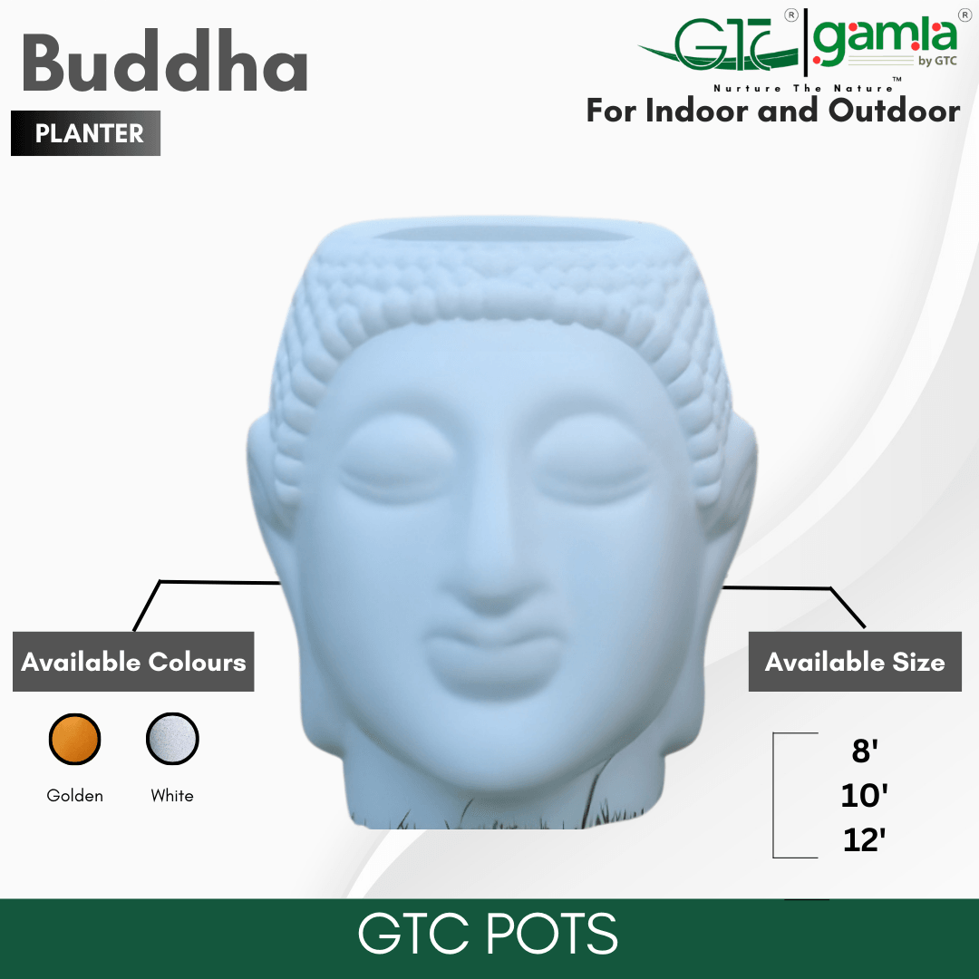 BUDDHA PLANTER - GTC POTS
