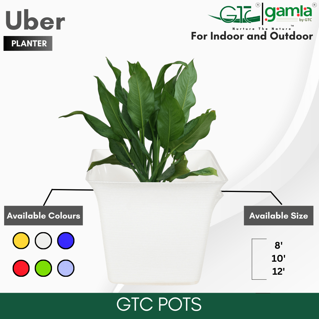 UBER PLANTER (SET OF 3) Suitable for Home, Gardens, Indoor, Outdoor - GTC POTS
