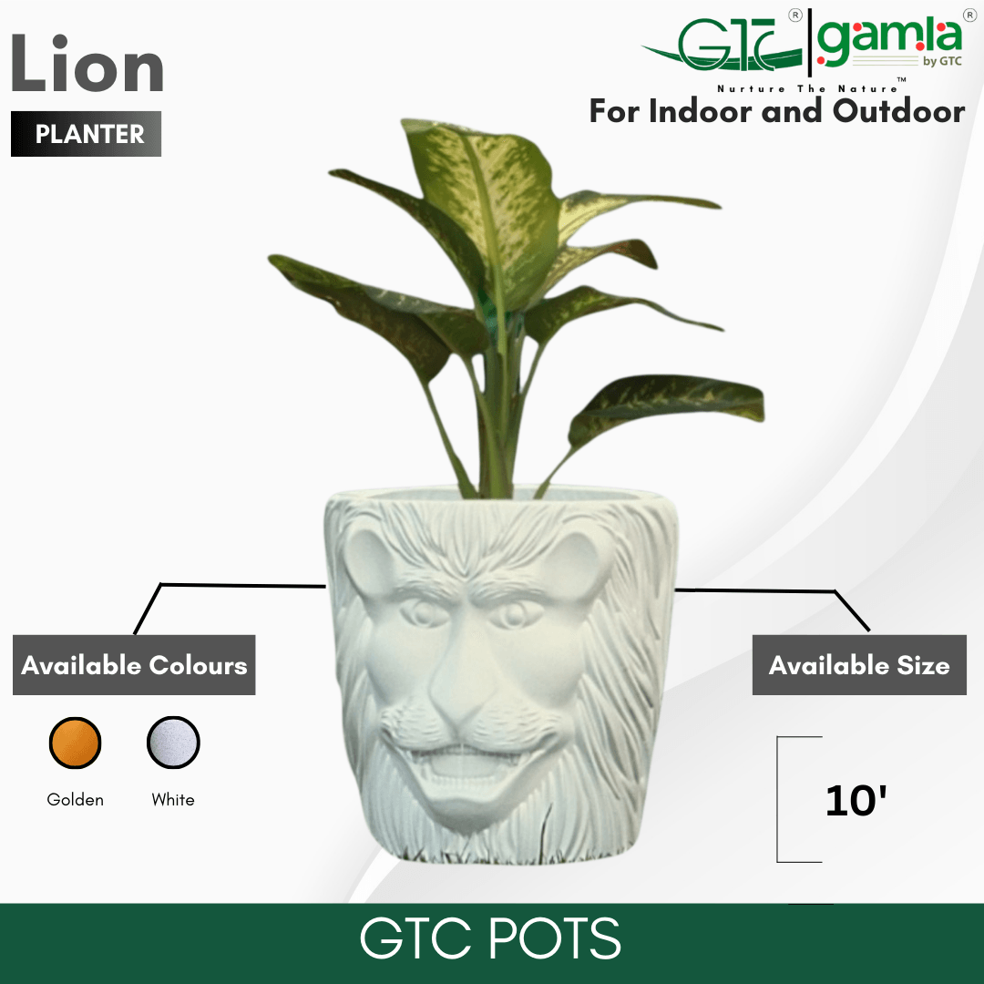 LION PLANTER - GTC POTS