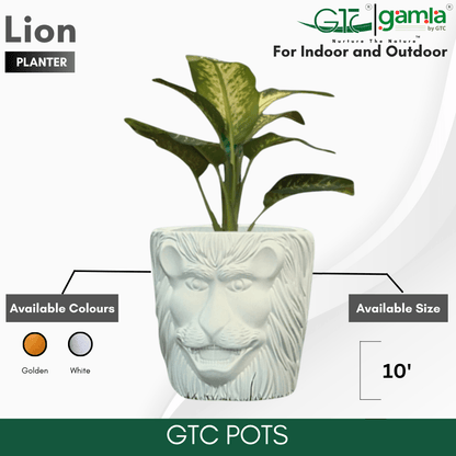 LION PLANTER - GTC POTS
