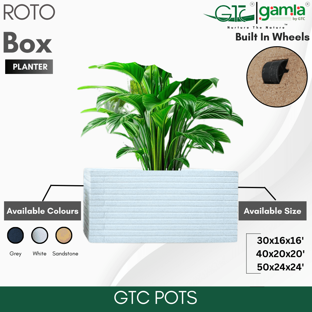 Box Wheel Planter Roto Moulding Planter Suitable for Home, Gardens, Hotels and Resorts - GTC POTS