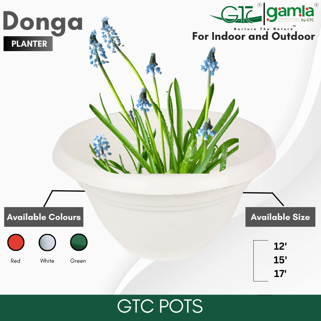 Donga Planter Suitable for Home, Gardens, Hotels and Resorts - GTC POTS