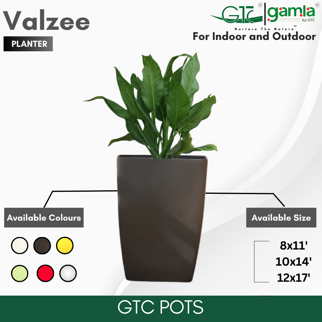 Valzee Planter Suitable for Home, Gardens, Hotels and Resorts - GTC POTS