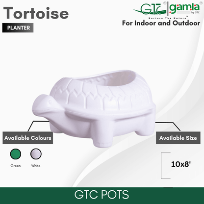 TORTOISE PLANTER - GTC POTS