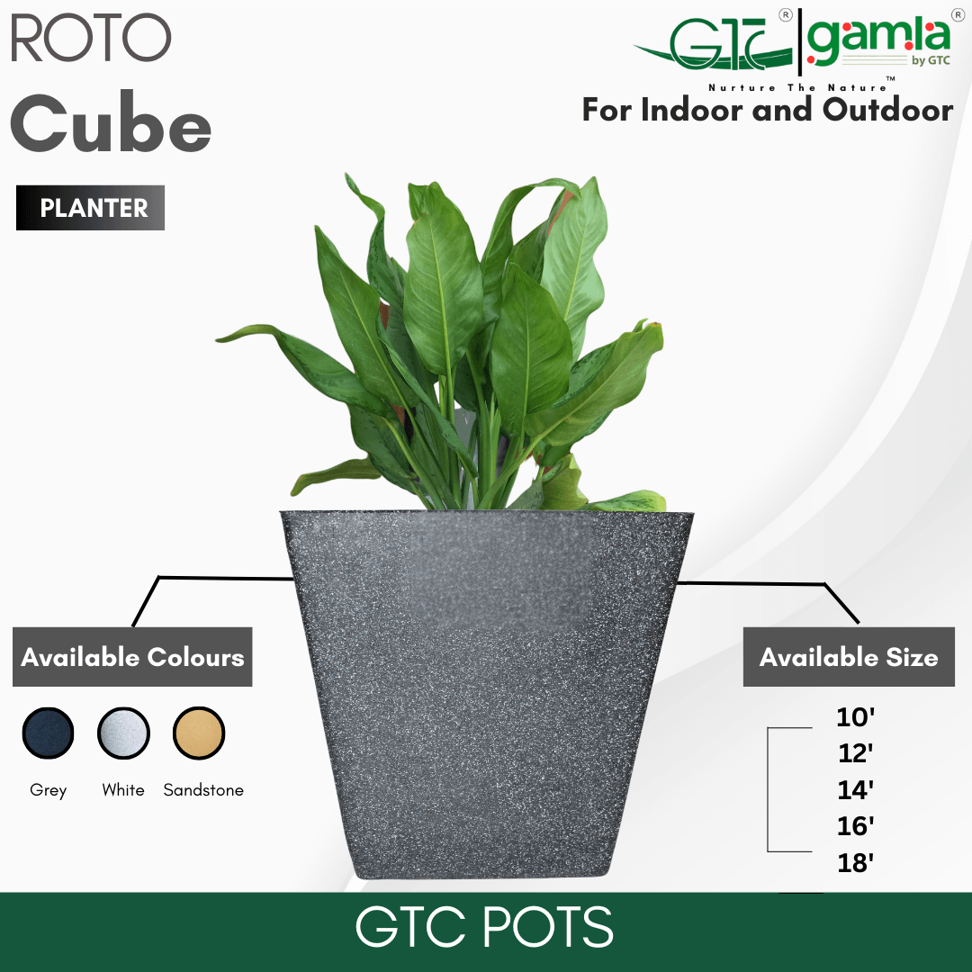 Cube Planter Roto Moulding Planter Suitable for Home, Gardens, Hotels and Resorts - GTC POTS