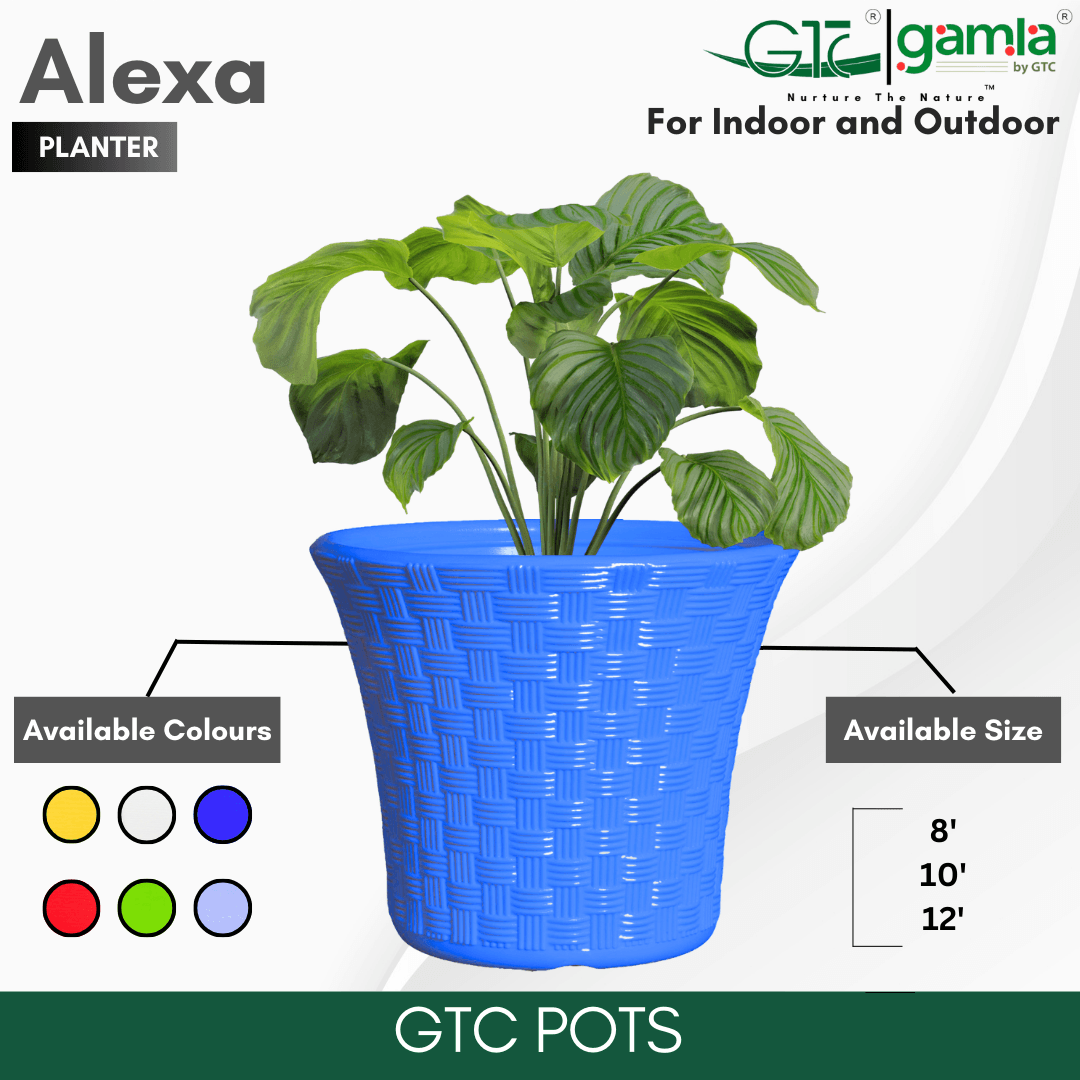 Alexa Planter Suitable for Home, Gardens, Hotels and Resorts - GTC POTS