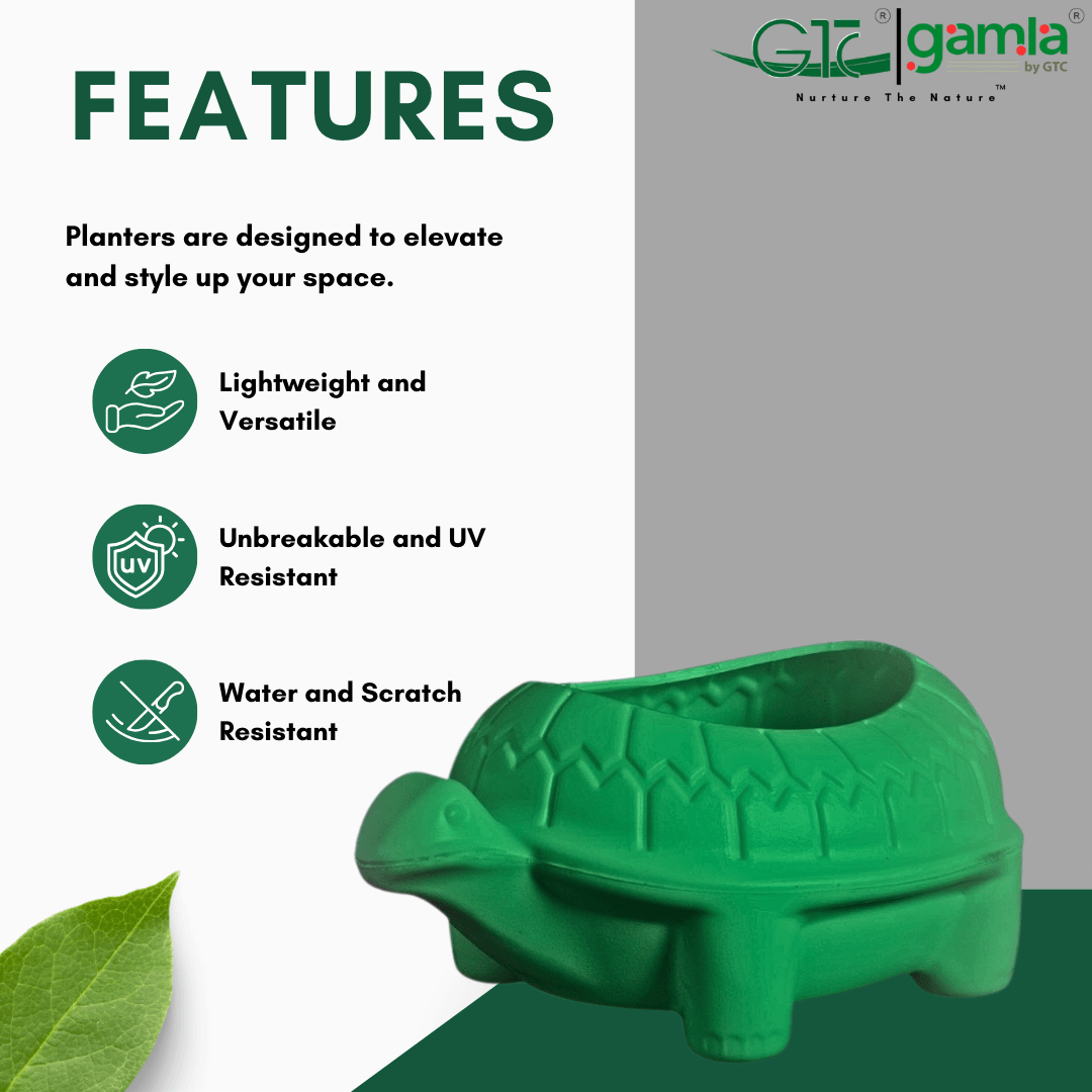 TORTOISE PLANTER - GTC POTS