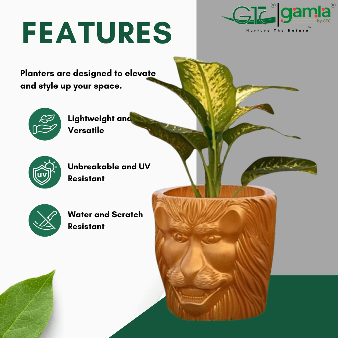 LION PLANTER - GTC POTS