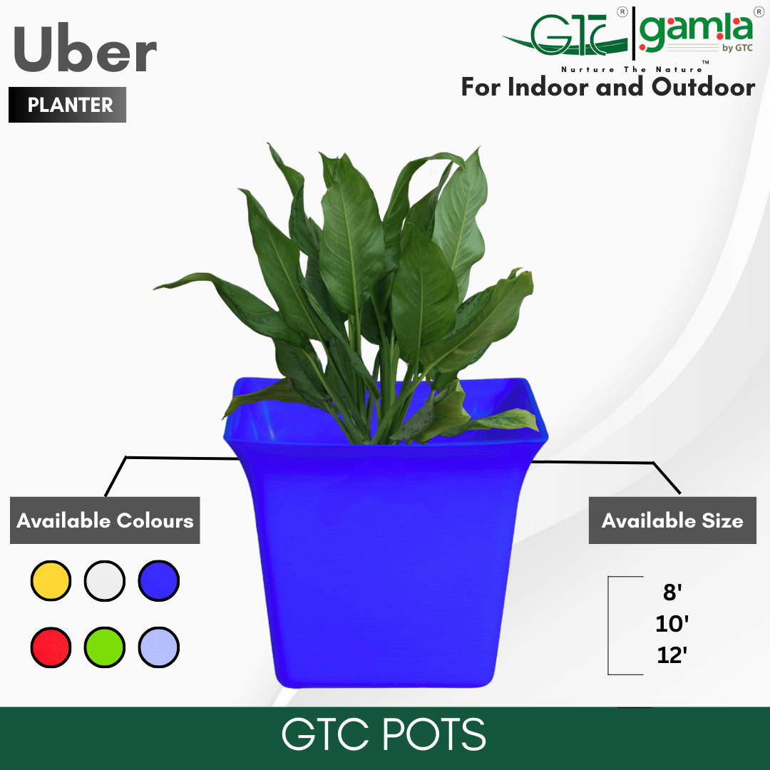UBER PLANTER (SET OF 3) Suitable for Home, Gardens, Indoor, Outdoor - GTC POTS