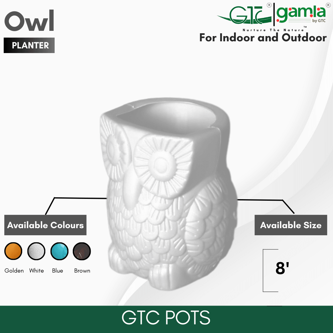 OWL PLANTER - GTC POTS
