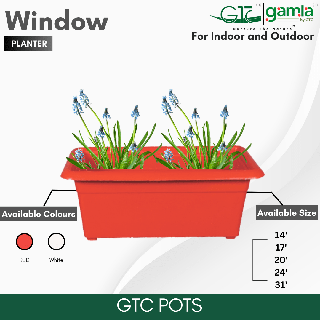 Window Planter Suitable for Home, Gardens, Hotels and Resorts - GTC POTS