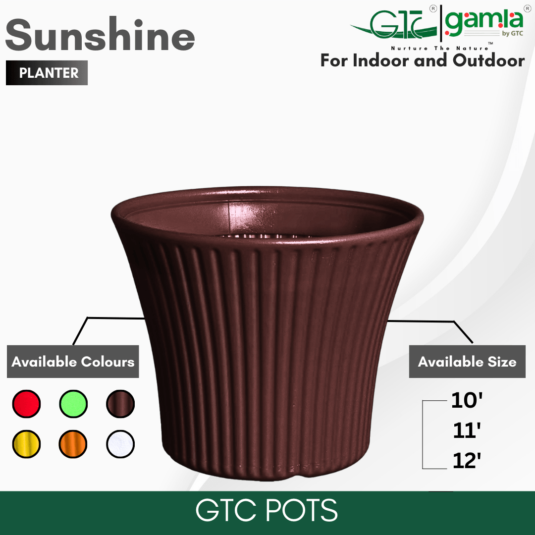 Sunshine Planter Suitable for Home, Gardens, Hotels and Resorts - GTC POTS
