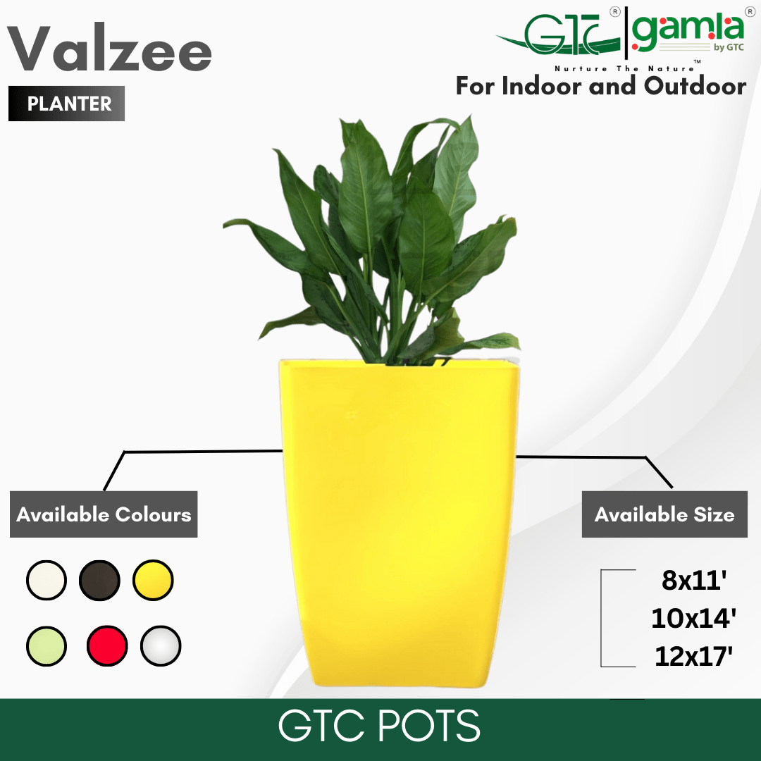 Valzee Planter Suitable for Home, Gardens, Hotels and Resorts - GTC POTS