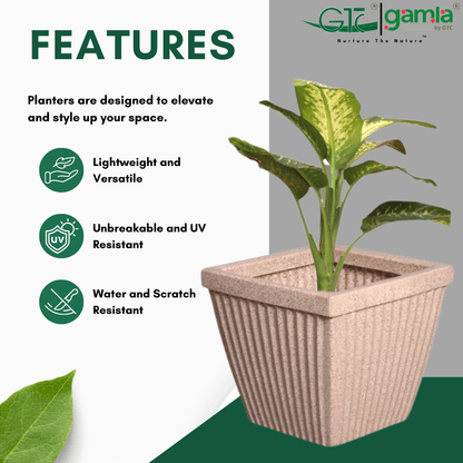 SPARK SQUARE PLANTER Roto Moulding Suitable for Home, Gardens, Hotels and Resorts - GTC POTS