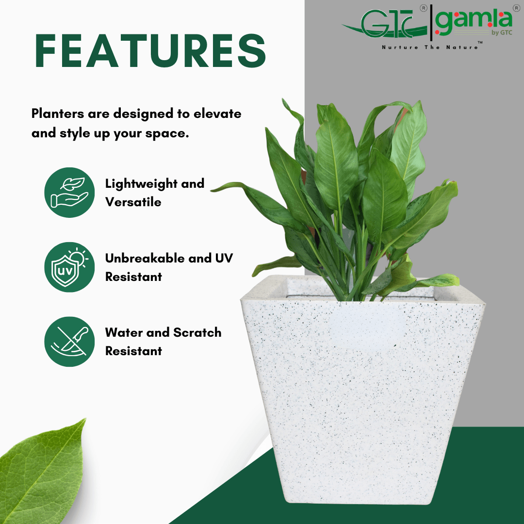 Cube Planter Roto Moulding Planter Suitable for Home, Gardens, Hotels and Resorts - GTC POTS