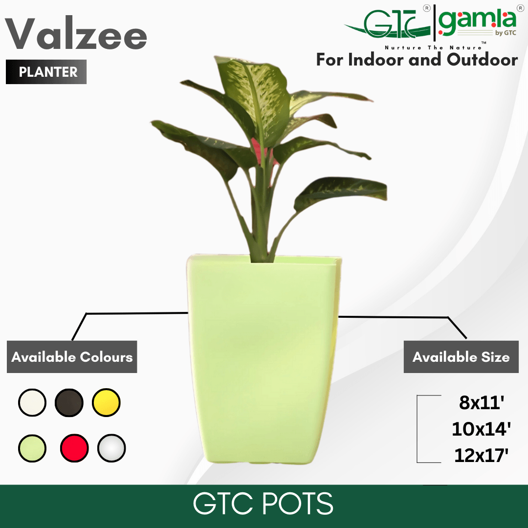Valzee Planter Suitable for Home, Gardens, Hotels and Resorts - GTC POTS