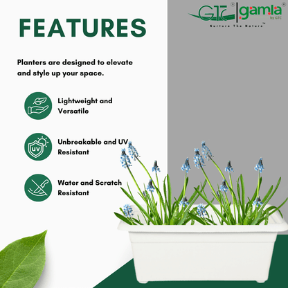 Window Planter Suitable for Home, Gardens, Hotels and Resorts - GTC POTS
