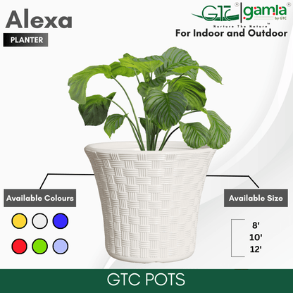 Alexa Planter Suitable for Home, Gardens, Hotels and Resorts - GTC POTS
