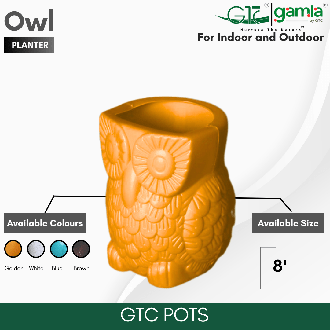 OWL PLANTER - GTC POTS